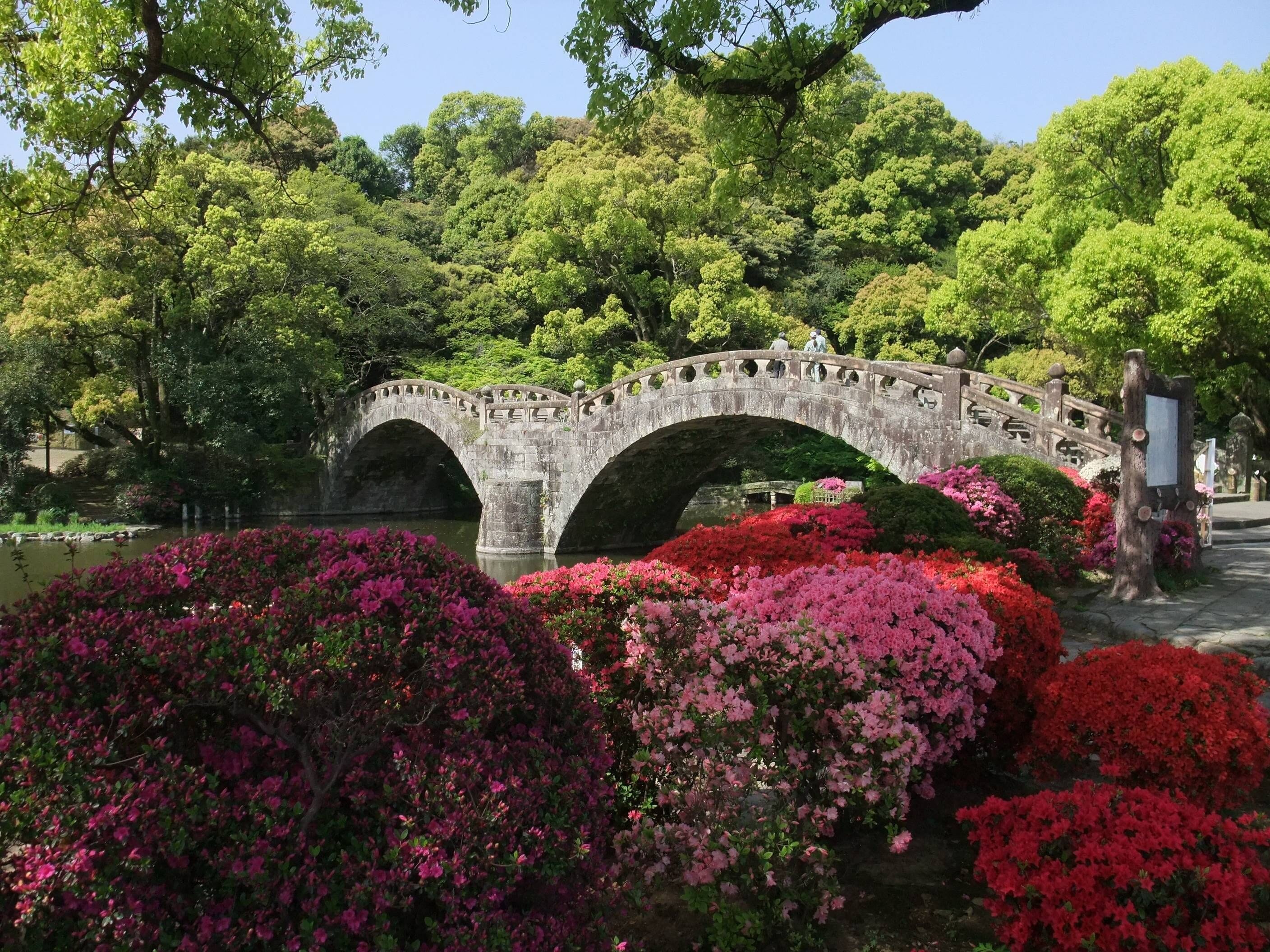 A stone bridge over a pond, surrounded by lush greenery and vibrant pink flowers.