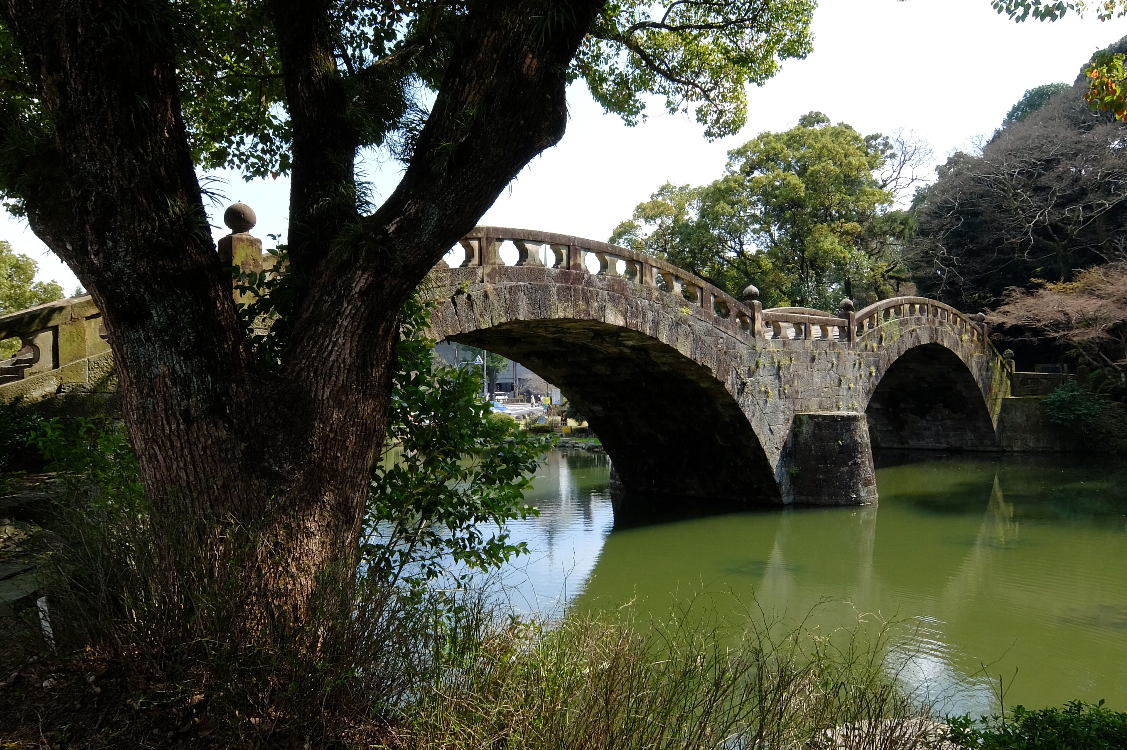 This is a complete original image ( no retouch, and no re-compression ).