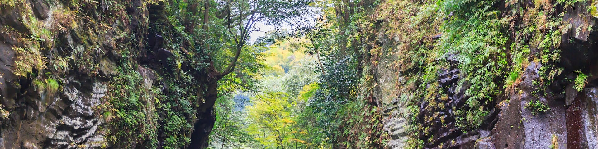 Travelers on a rowing boat at takachiho gorge in a Leaves color change season,Miyazaki,Japan, Shutterstock ID 758705779, Purchase Order: -