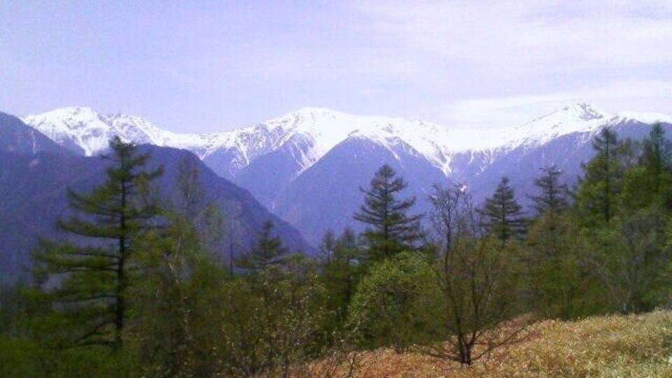 Snow-capped mountains, pine trees, and dry grass.