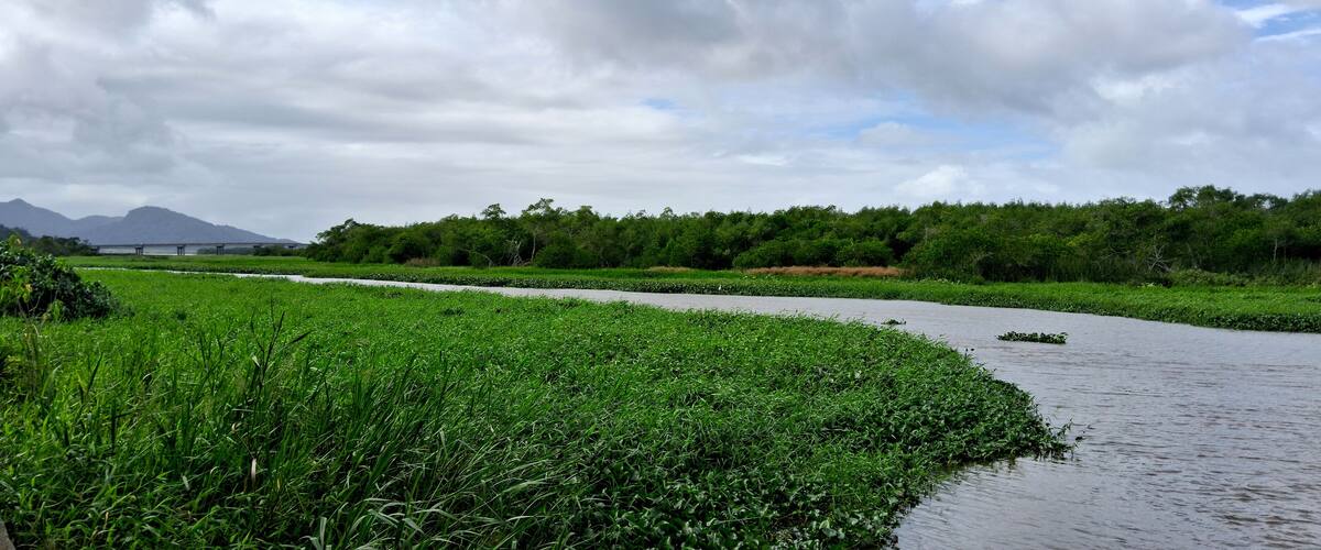 A river meandering through a lush green landscape with a bridge in the distance and mountains in the background.