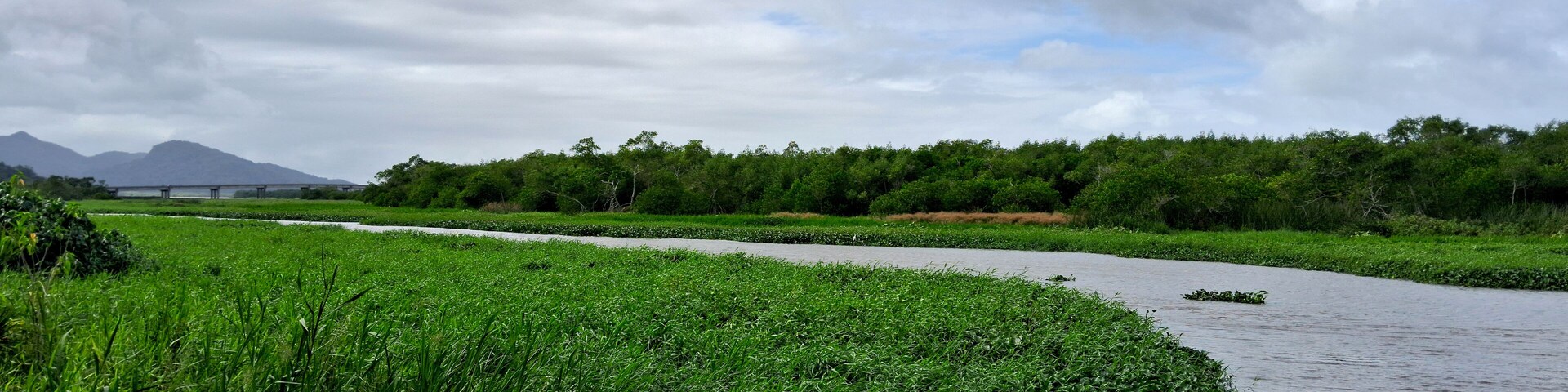 A river meandering through a lush green landscape with a bridge in the distance and mountains in the background.