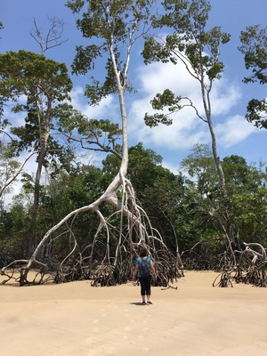 One of the most different places I ever been. Bring your sweem suit, relax and enjoy wild nature.