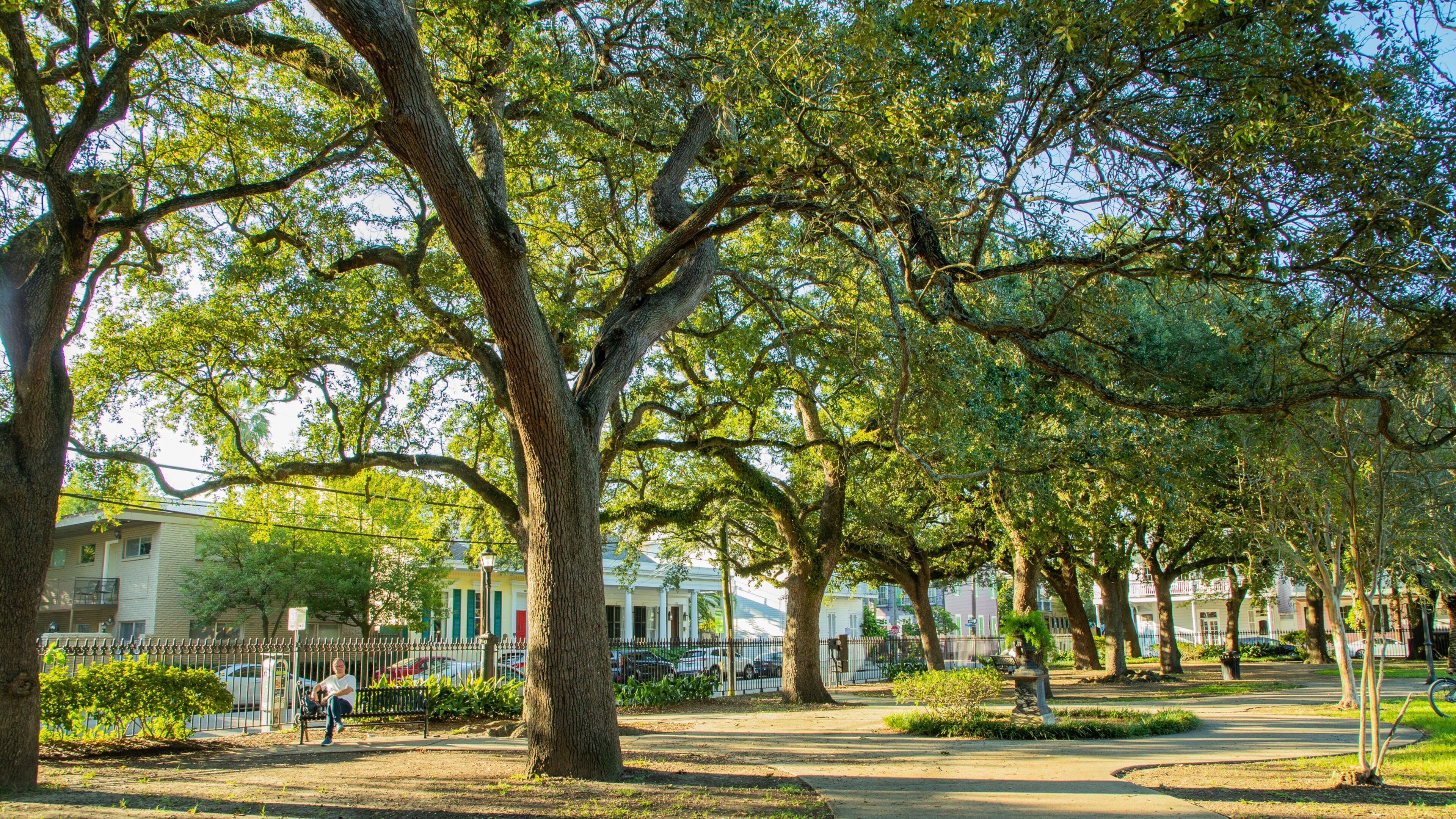 Faubourg Marigny which includes a garden