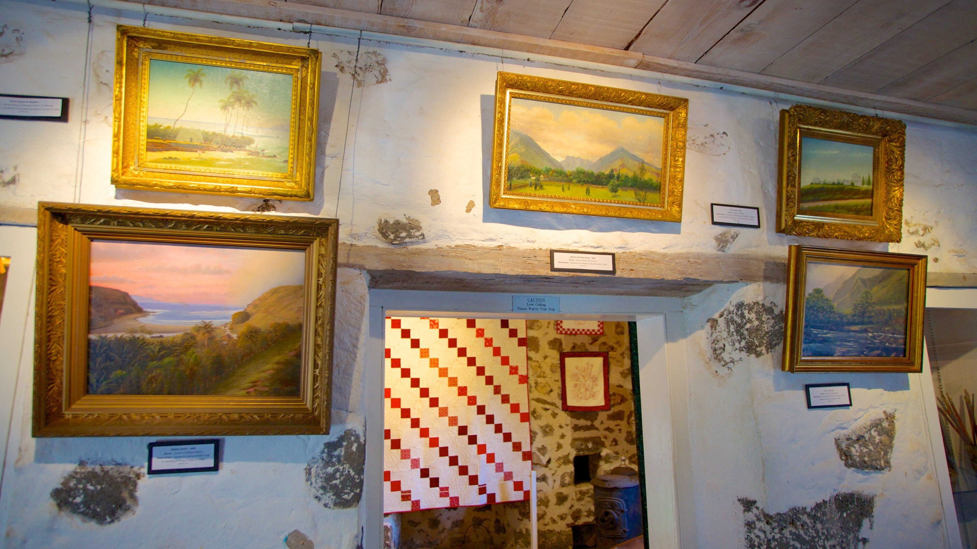 Bailey House Museum caracterizando vistas internas