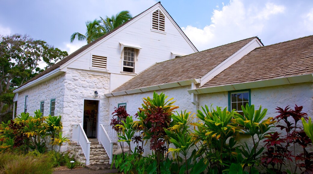 Bailey House Museum showing a house