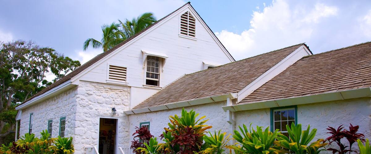 Bailey House Museum showing a house