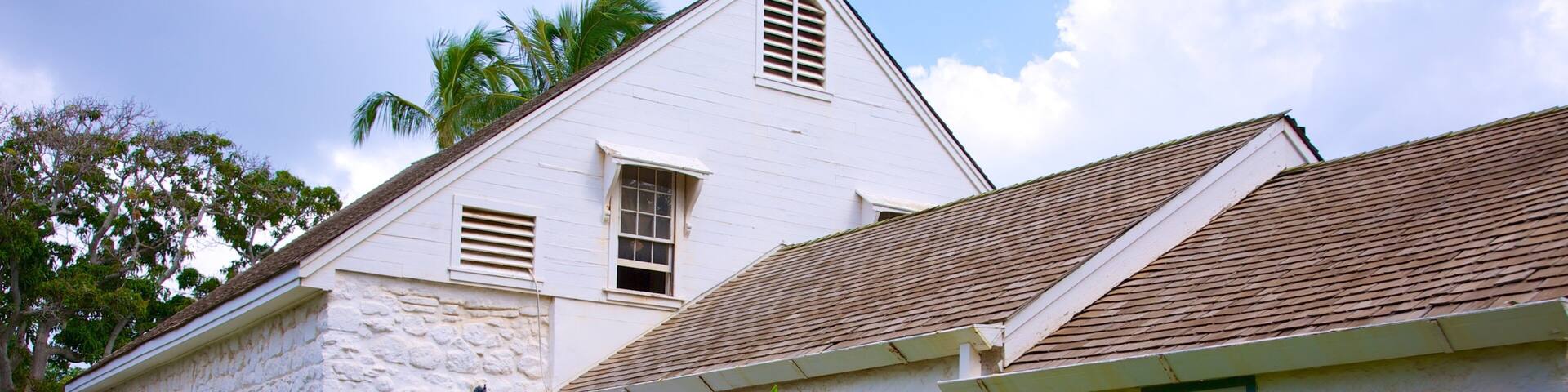 Bailey House Museum showing a house
