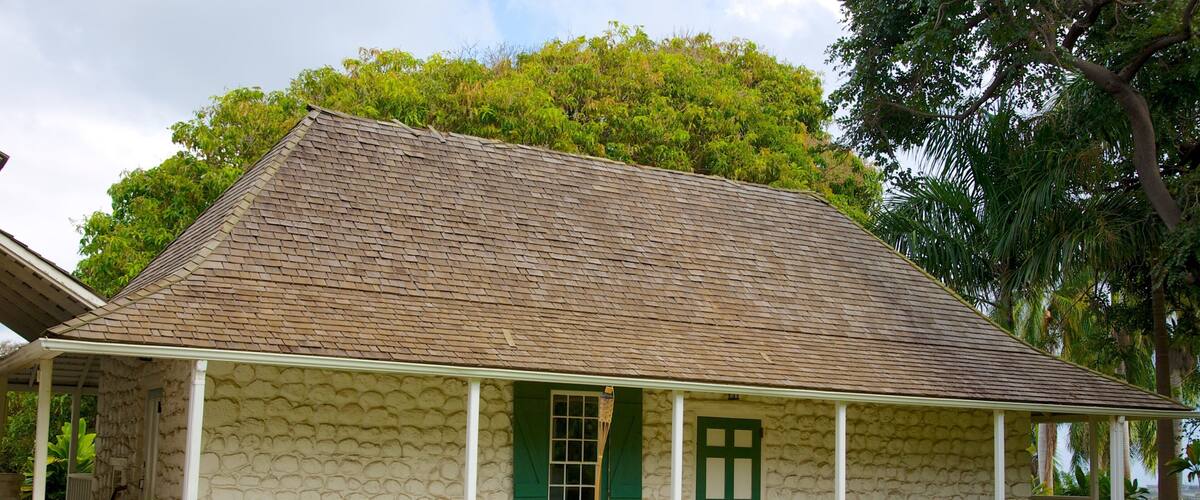 Bailey House Museum showing a house