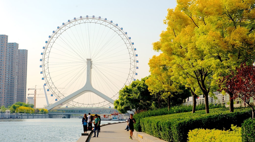 Tianjin Eye showing street scenes, a garden and rides