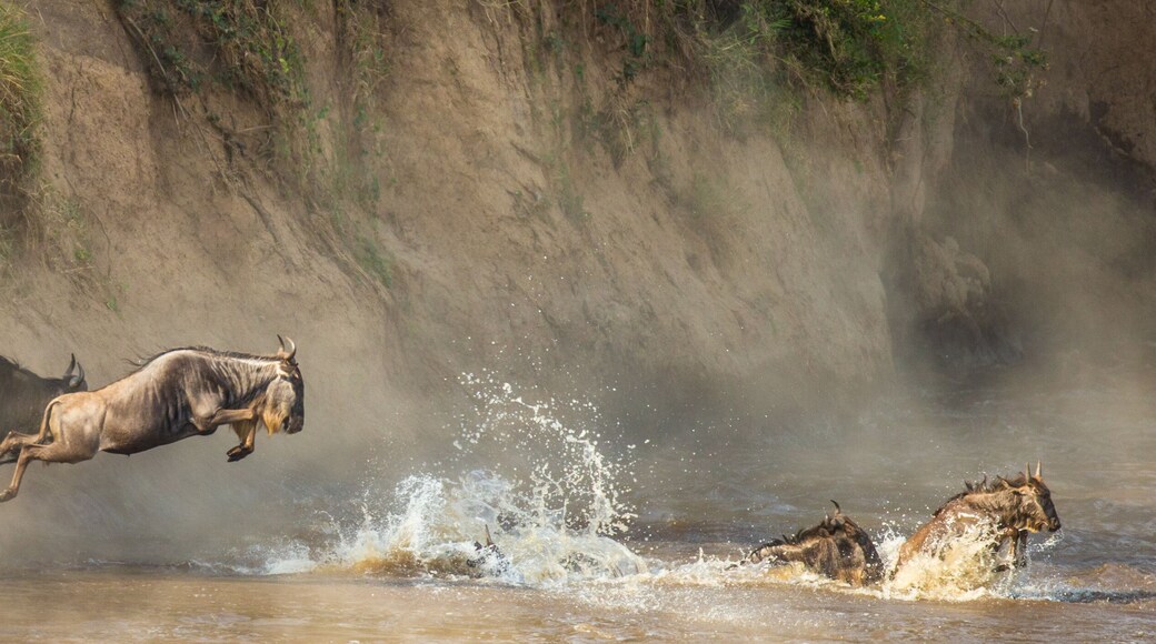 Maasai Mara National Reserve