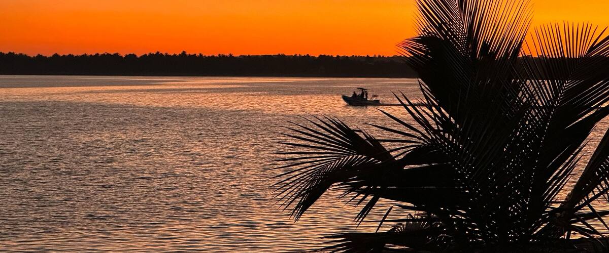 A sunset over a calm body of water with a silhouette of a boat and a palm tree in the foreground.