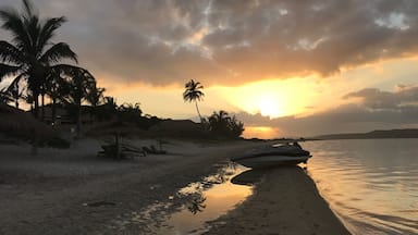 Una playa con palmeras, un bote y una puesta de sol.