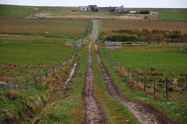 Track to the B9057 The Burn of Desso runs from left to right then disappears into the trees in the middle distance.