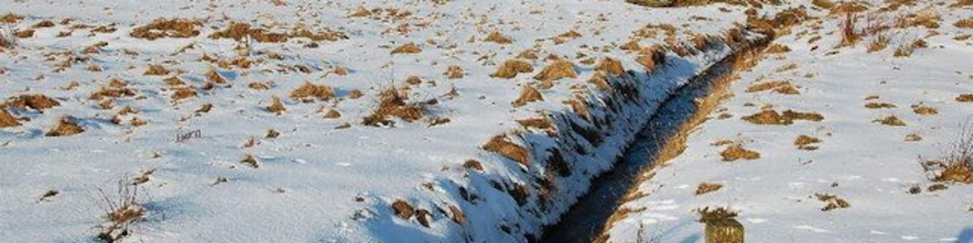 Burn in the snow Looking north with Eynhallow Sound, and Eynhallow itself, in the background.