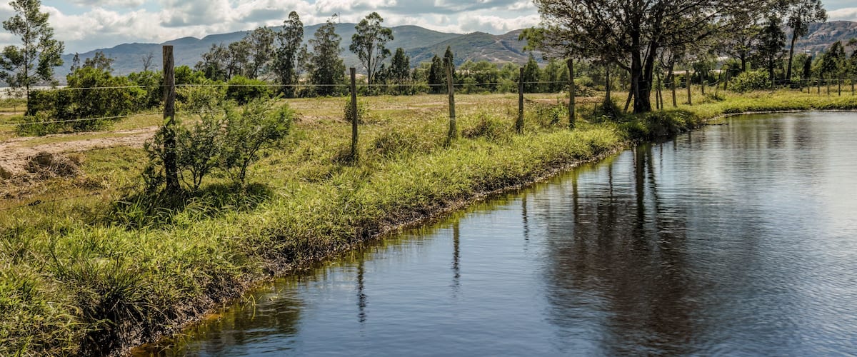 A river with a grassy bank, trees, and mountains in the background.