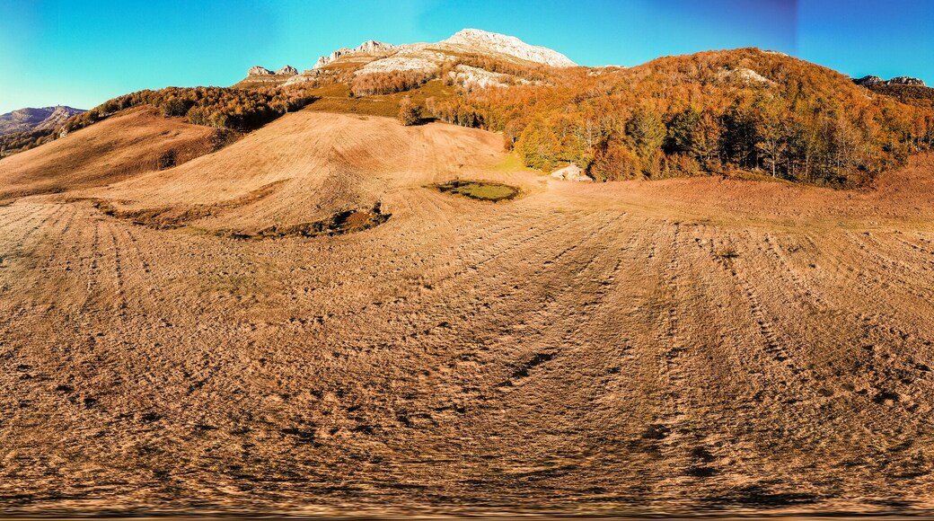 Espinosa de los Monteros