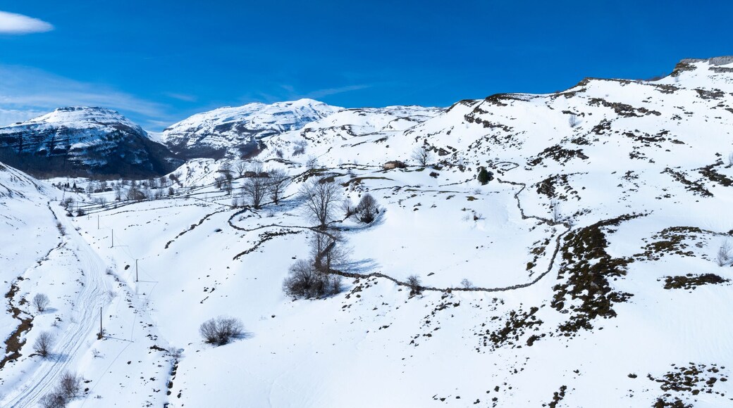 Espinosa de los Monteros