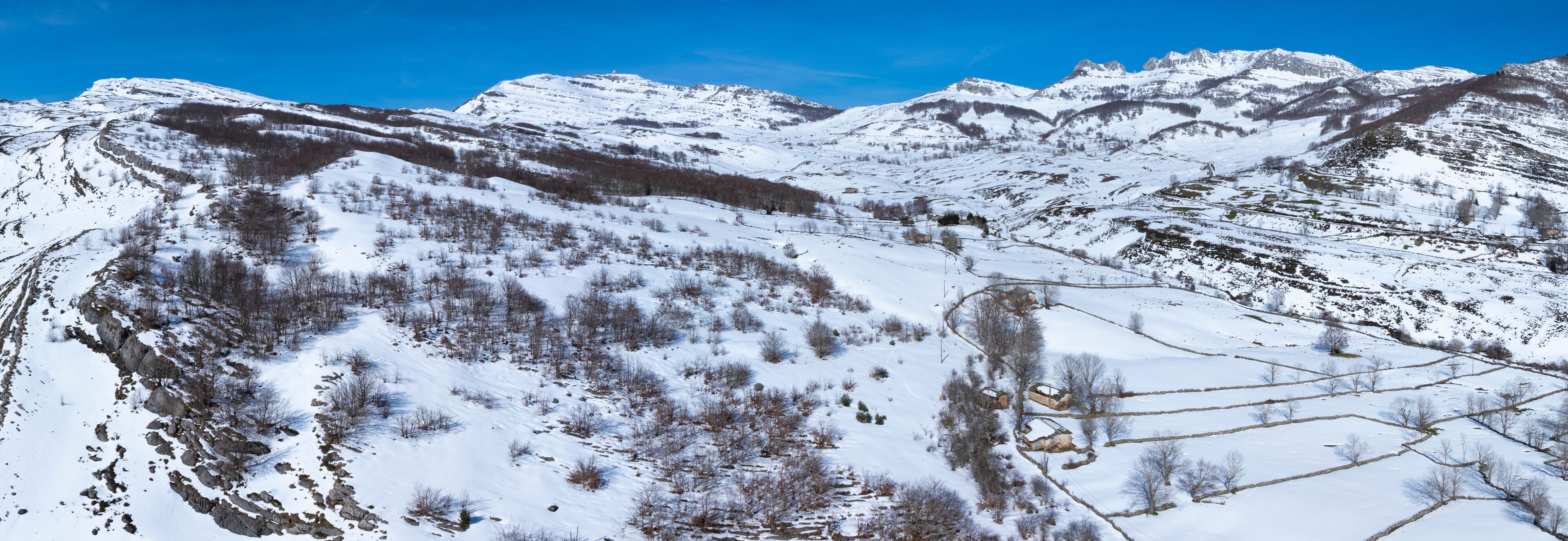Espinosa de los Monteros