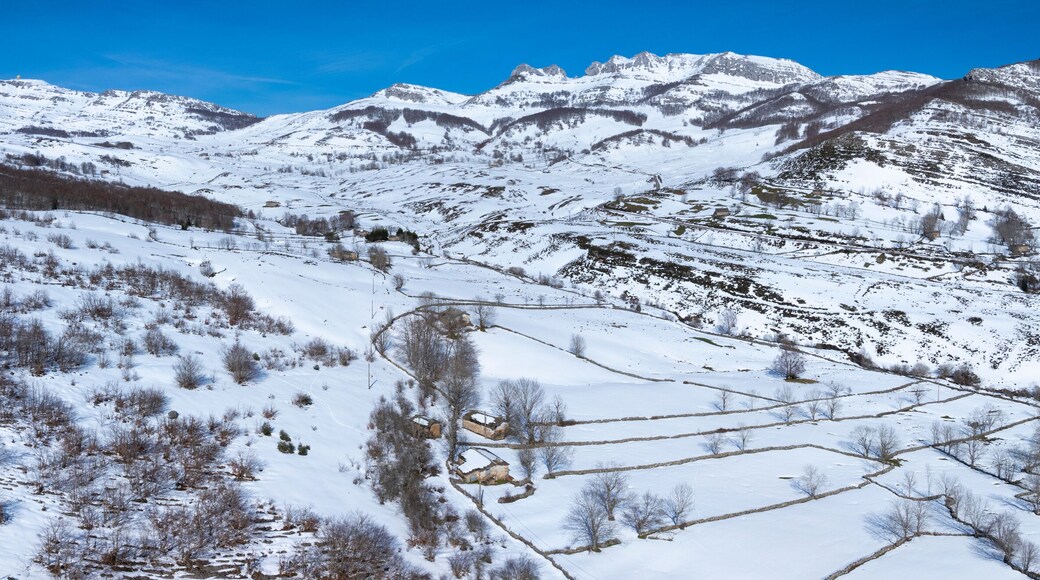 Espinosa de los Monteros