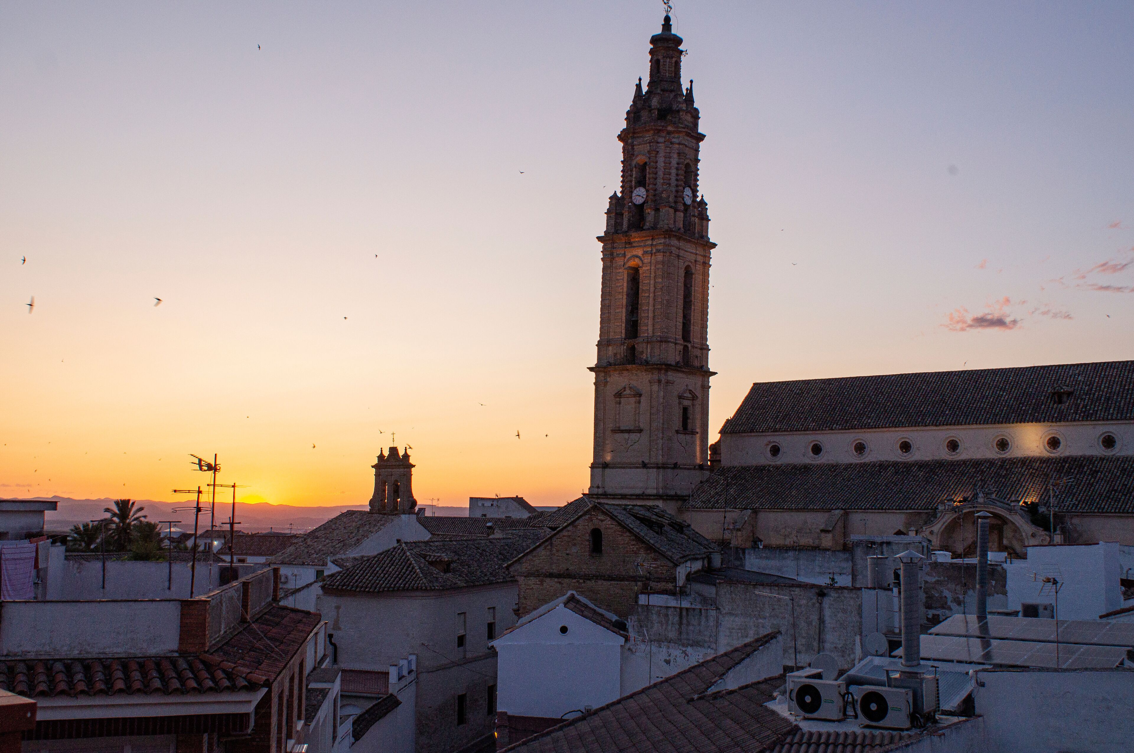 Bujalance church tower at sunset.