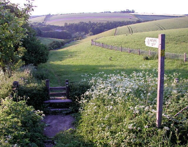 A rural landscape with a wooden footbridge over a stream, surrounded by lush greenery and a fenced field.