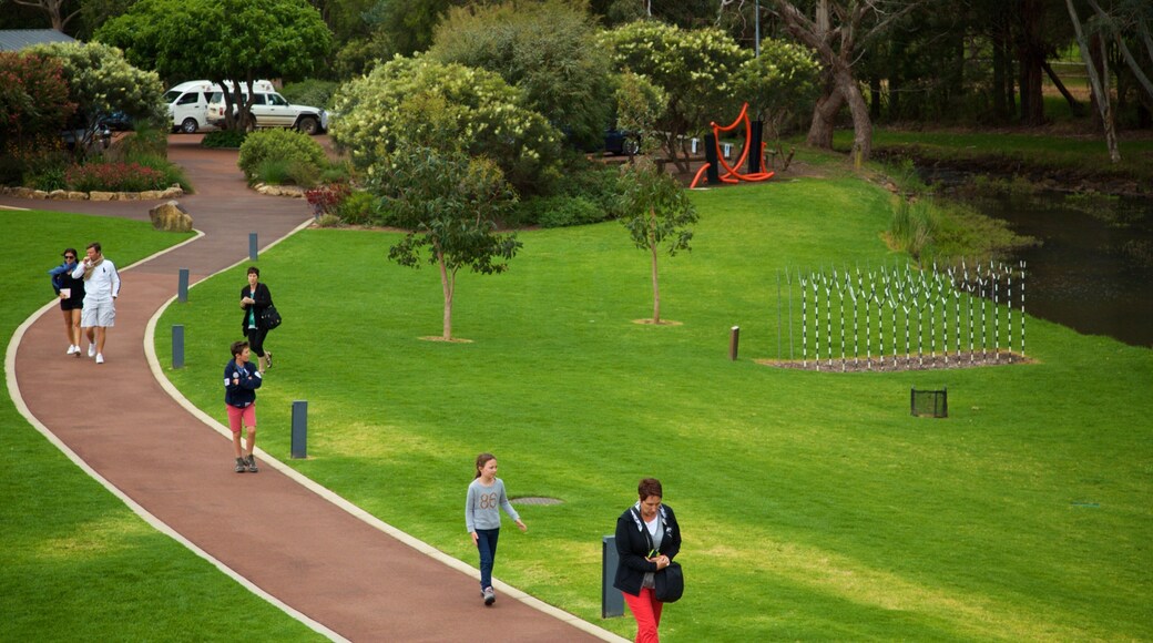 Vasse Felix Winery featuring a park as well as a small group of people
