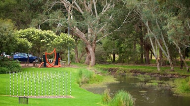Bodega Vasse Felix ofreciendo un río o arroyo
