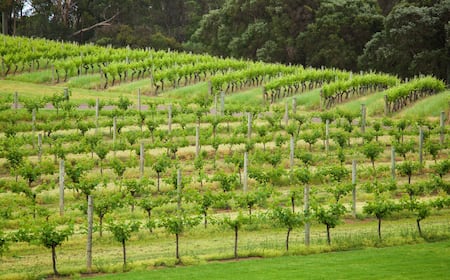 Cheap Flights to Cowaramup Expedia