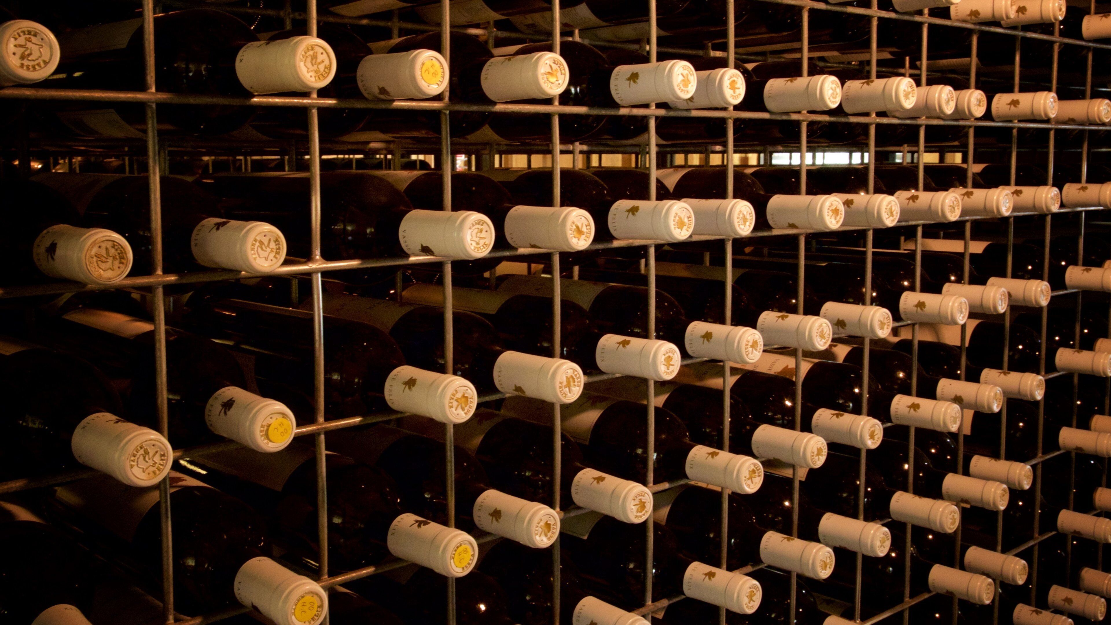 Vasse Felix Winery which includes drinks or beverages and interior views