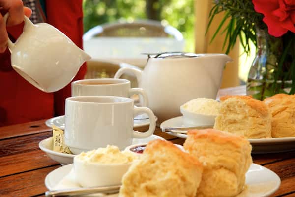 The Berry Farm qui includes nourriture