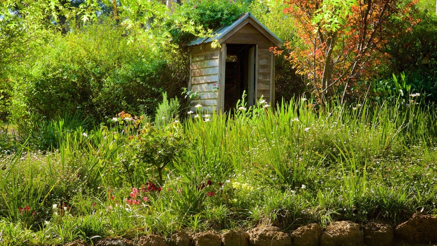The Berry Farm showing flowers and a garden