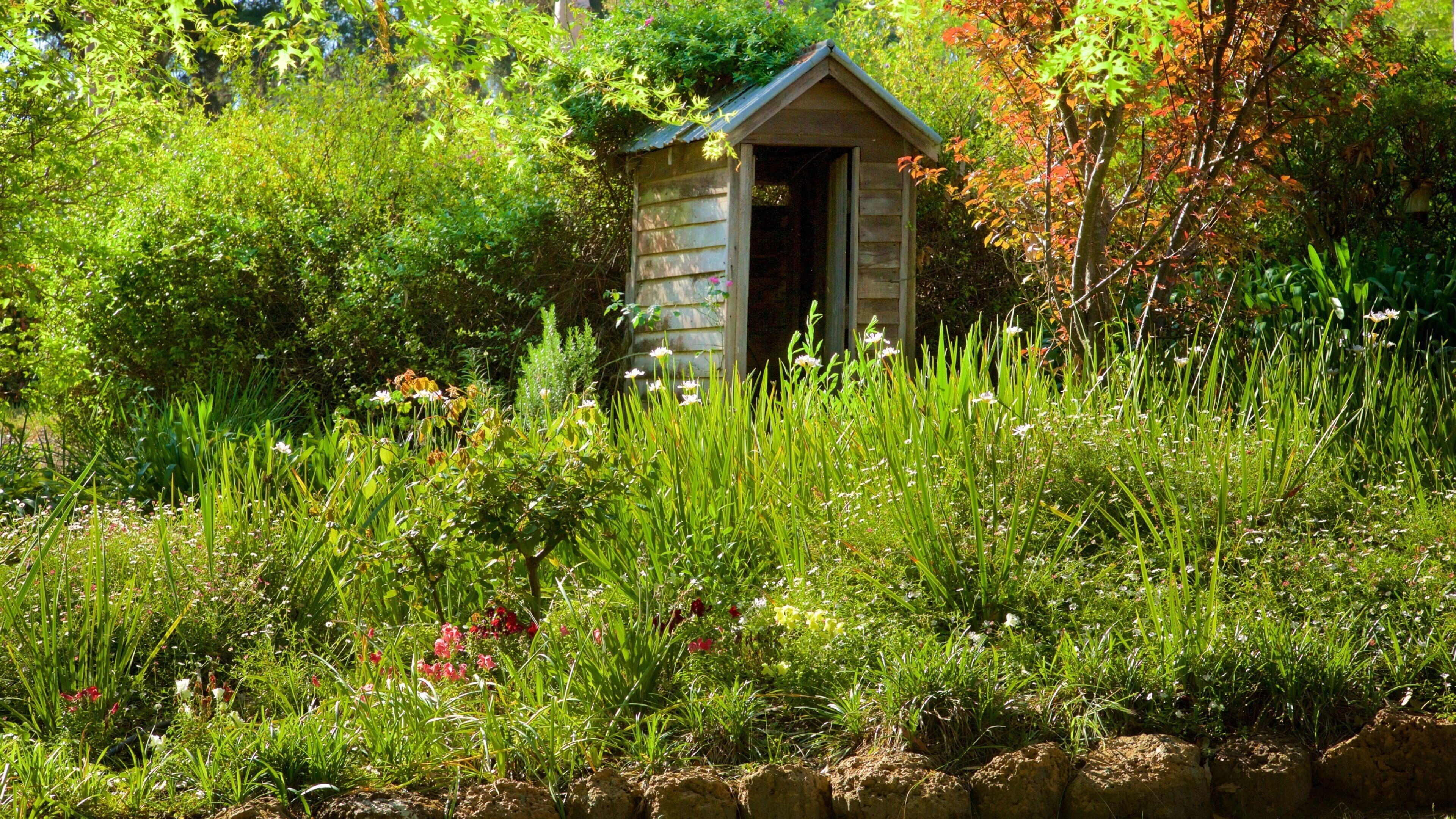 A wooden structure surrounded by lush greenery and wildflowers.