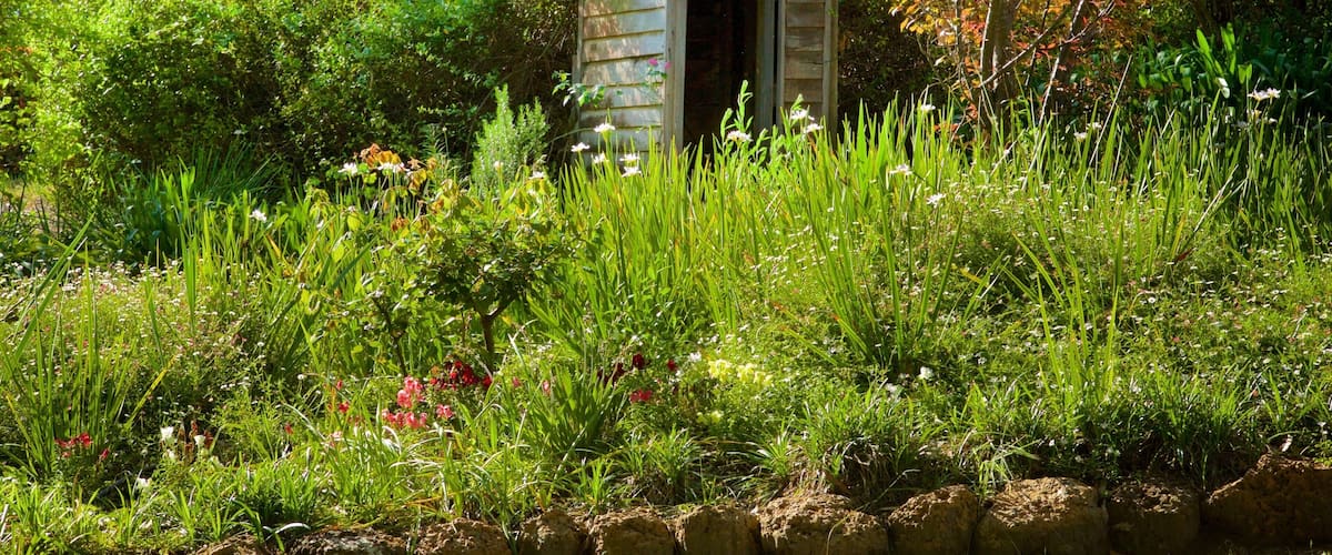 A wooden structure surrounded by lush greenery and wildflowers.