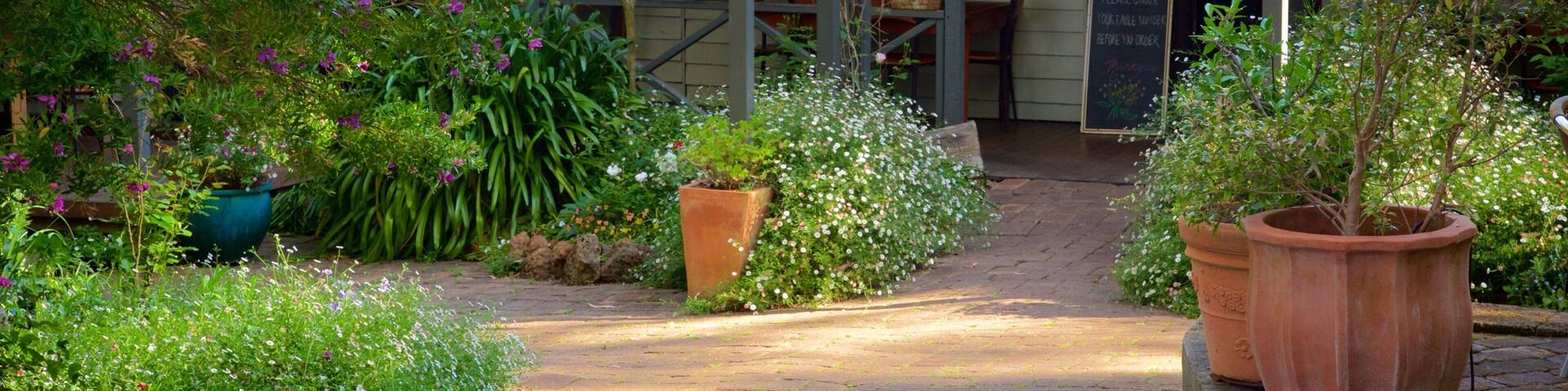 The Berry Farm which includes a house and a garden