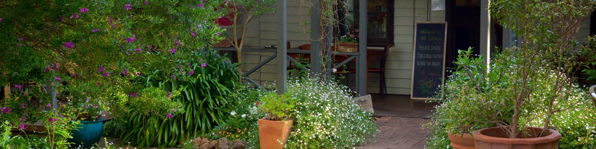 The Berry Farm featuring a house and a park