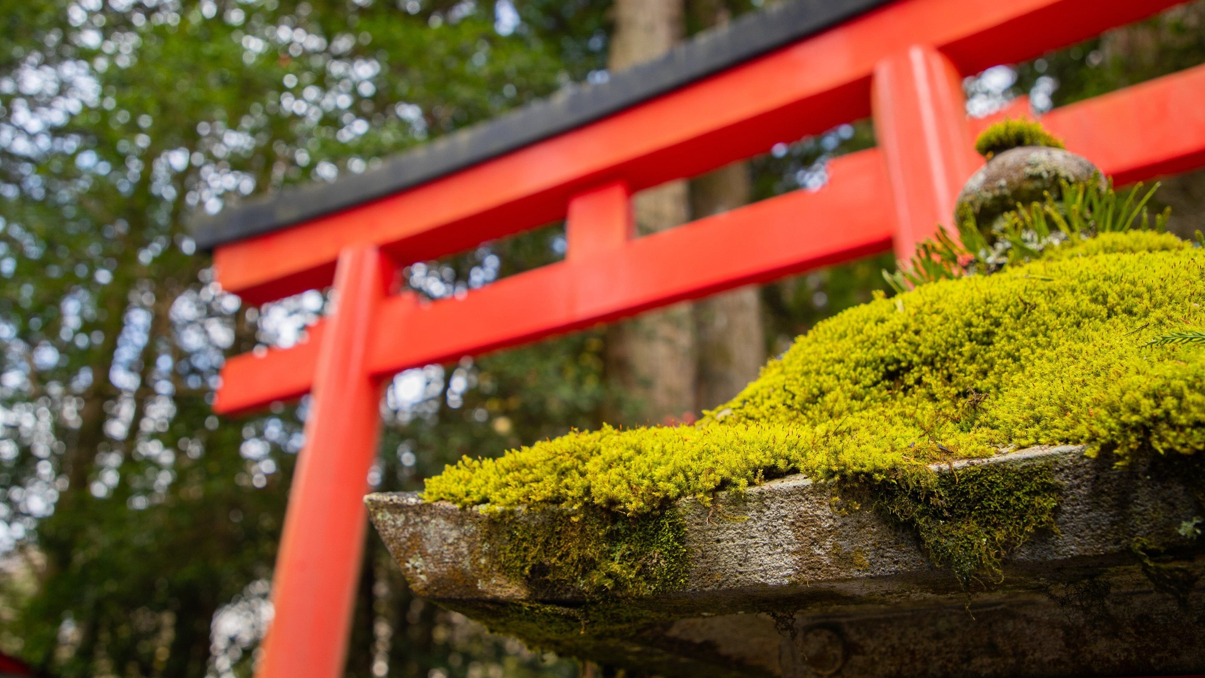 Hakone Shrine showing heritage elements