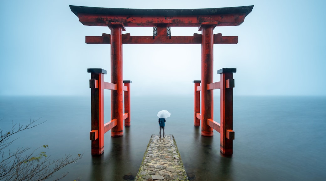 Hakone Shrine in Japan