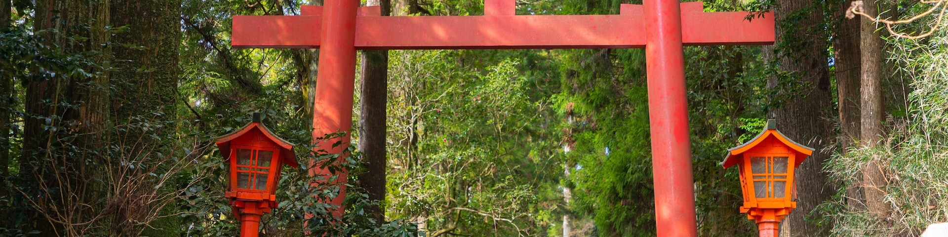 Hakone Shrine showing a garden and heritage elements