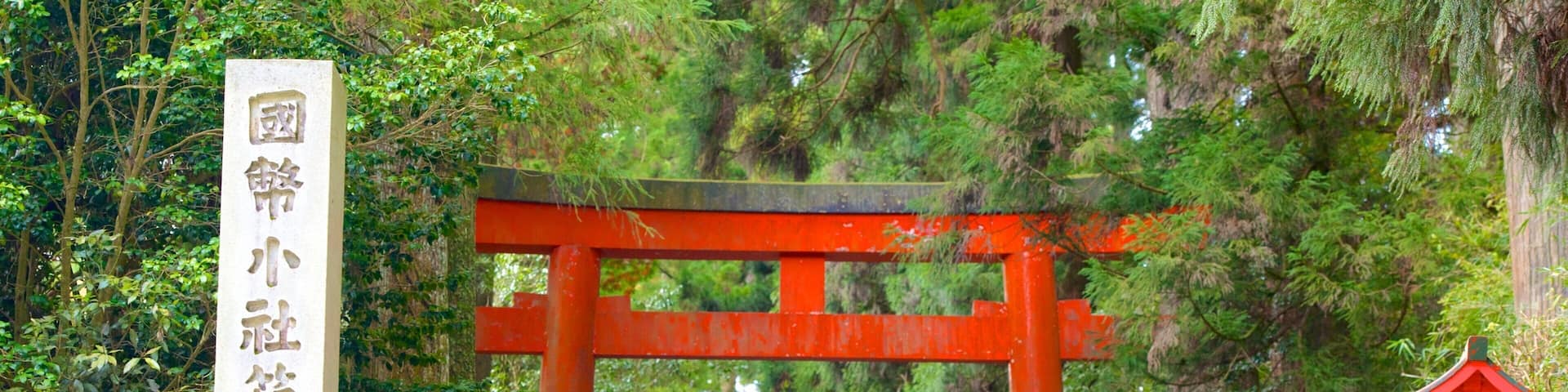 Hakone-Schrein welches beinhaltet Geschichtliches sowie Paar