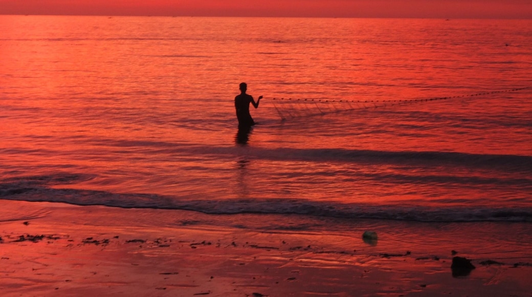One last catch for this fisherman to end his hard day's work under the orange sky.
A 4-hour drive down south of Bacolod City, Negros Occidental.
#goldenhour