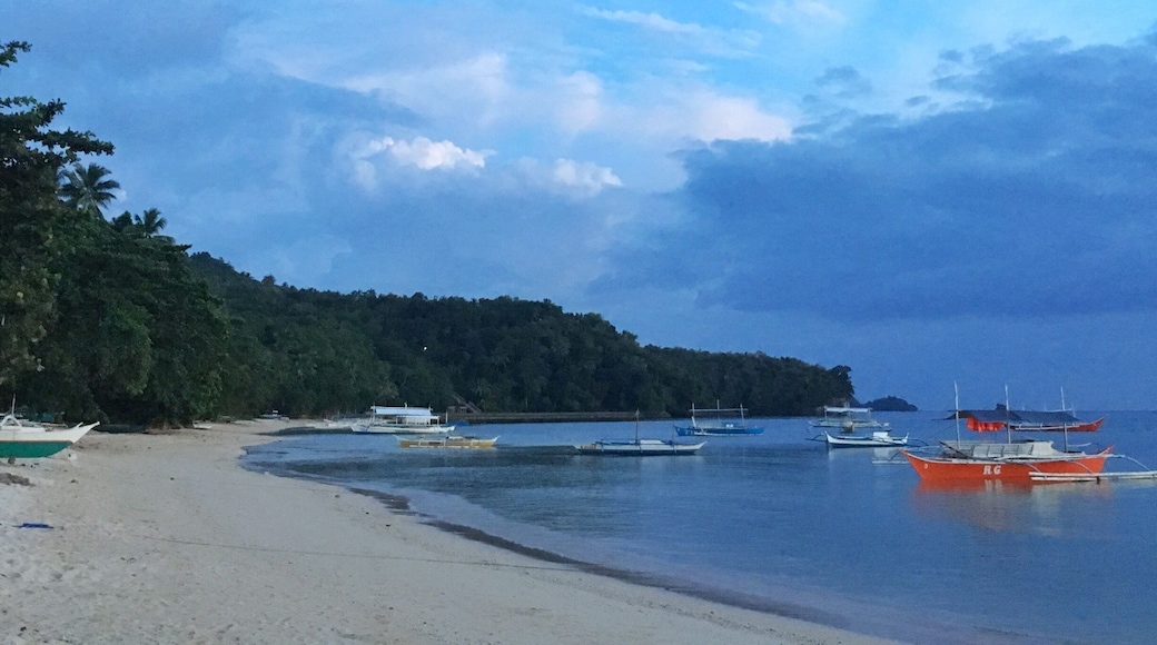 The Shores of Punta Ballo, Sipalay City, Philippines. #beaches #clouds #bestbeach #sipalay #travelgram #nature #beach #negros #philippines #igbacolod #wanderlust #travel #puntaballo #wheninbacolod #instasia #asiatravel #travelgr8 #bbctravel #passionpassport #globetrotter #worldtravelpics #beachlife #iphoneography #beachporn #beachplease #whereivebeen #cooltravelpix #travelph #itsmorefuninthephilippines #lifeatexpedia
