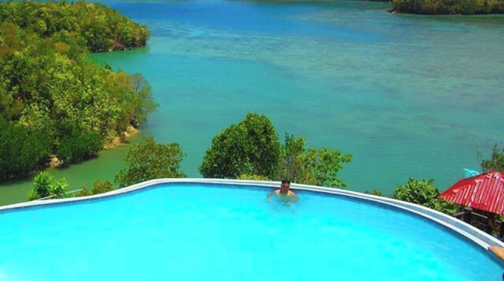 It is a refreshing swim in the #blue pool with this breathtaking view surrounding you.
#sipalay #travel #perth #negrosoccidental #philippines #photography #summer #keepcalm #picoftheday #beautifulday #beautifuldestinations #swimming #itsmorefuninthephilippines