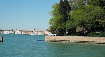 Castello, 30100 Venezia, Italy