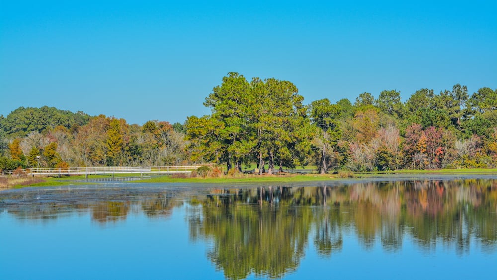 Un lac paisible avec un pont, entouré d’arbres aux feuilles d’automne.