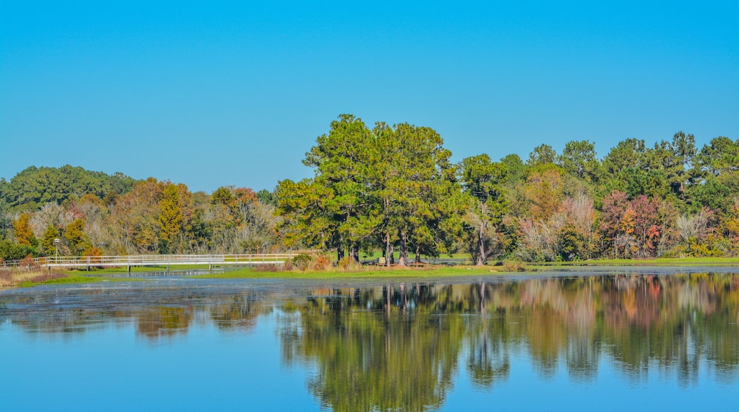 A calm lake with a bridge, surrounded by trees with autumn foliage.