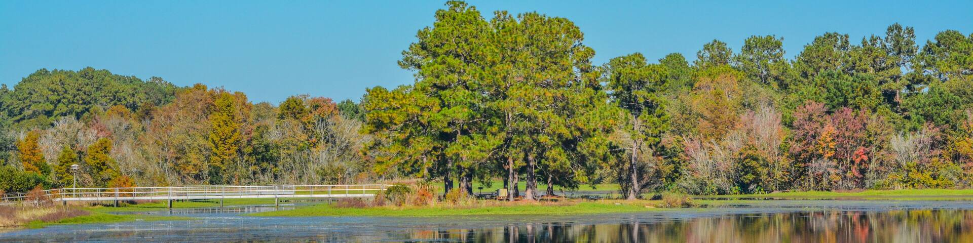 Beautiful mirror image of shoreline on Reed Bingham Lake in Adel, Colquitt County, Georgia