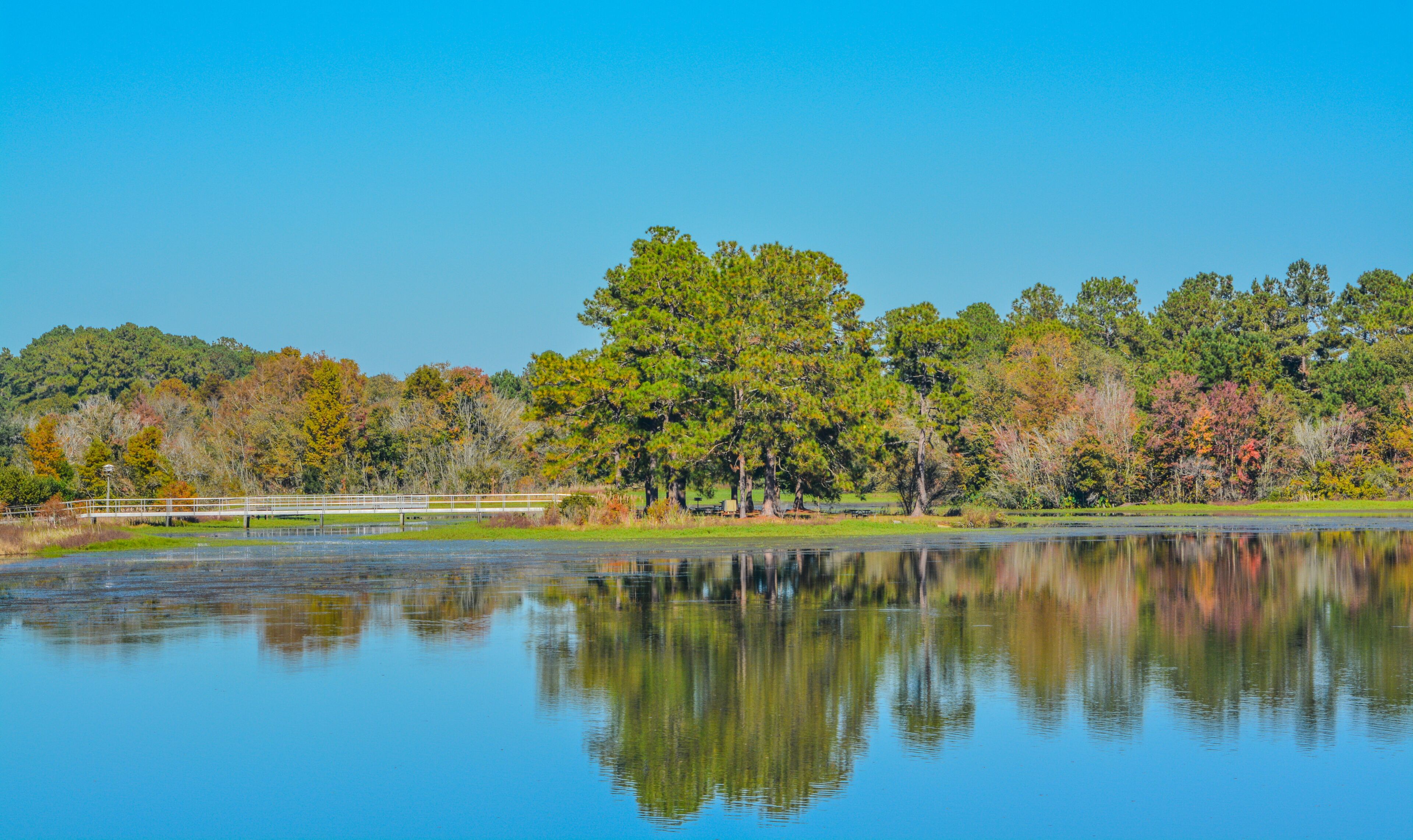A calm lake with a bridge, surrounded by trees with autumn foliage.