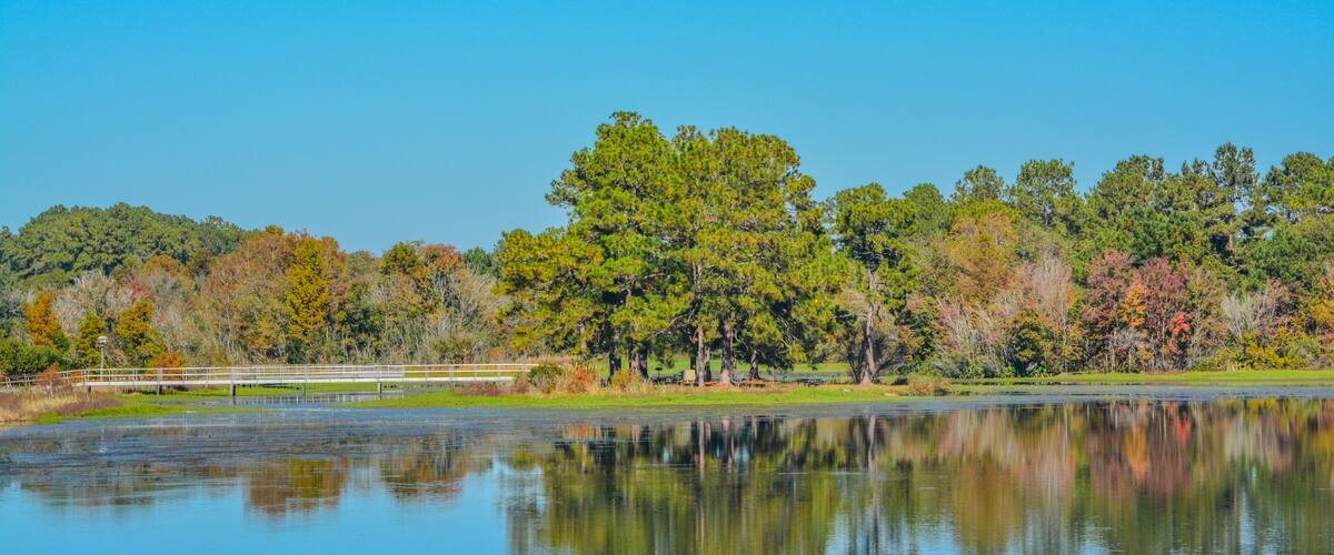 A calm lake with a bridge, surrounded by trees with autumn foliage.
