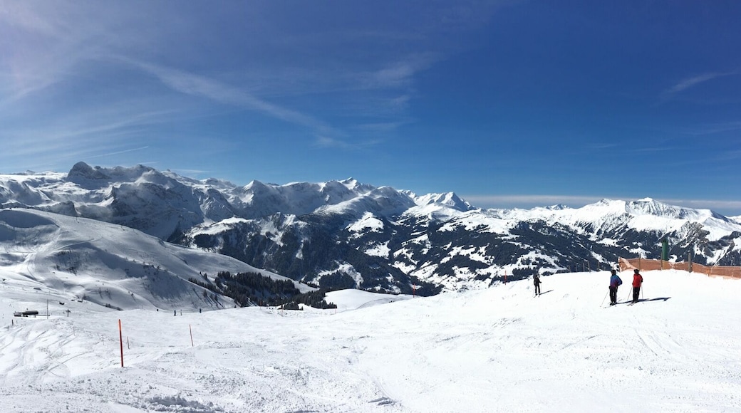 Skigebiet Adelboden